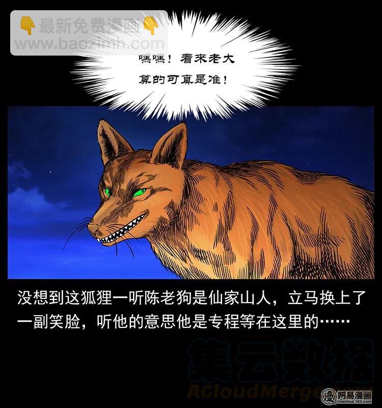 143 出马黑狐8