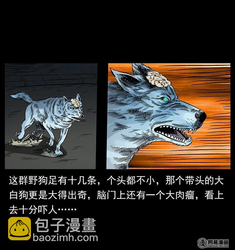 151 京西烧骨塔（下）62