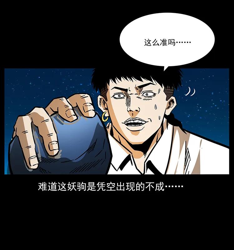 158 妖驹的选择14