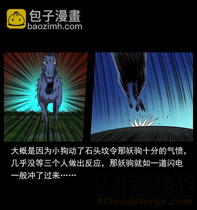 158 妖驹的选择16