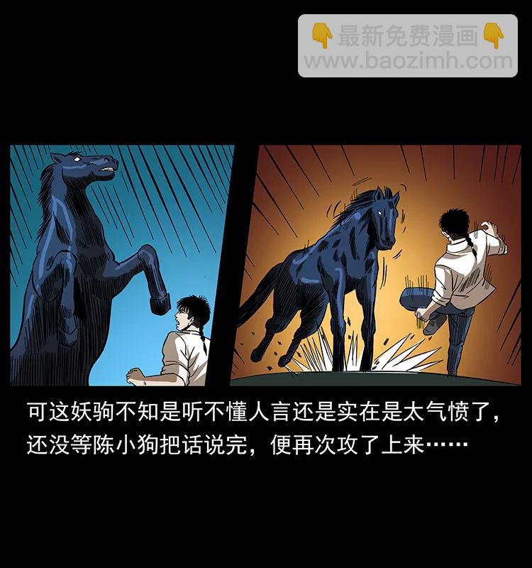 158 妖驹的选择21