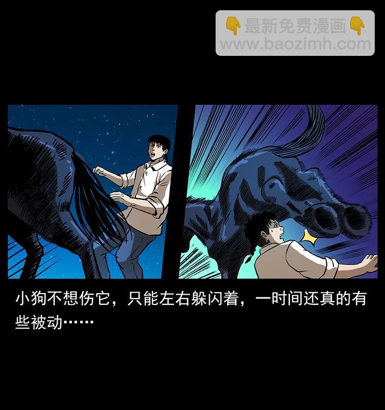 158 妖驹的选择22