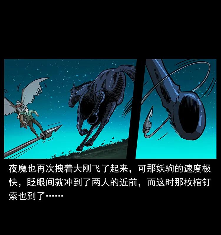 158 妖驹的选择27