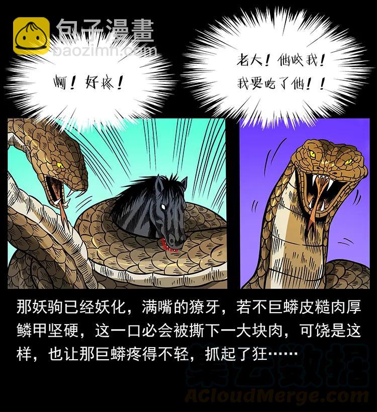 158 妖驹的选择48
