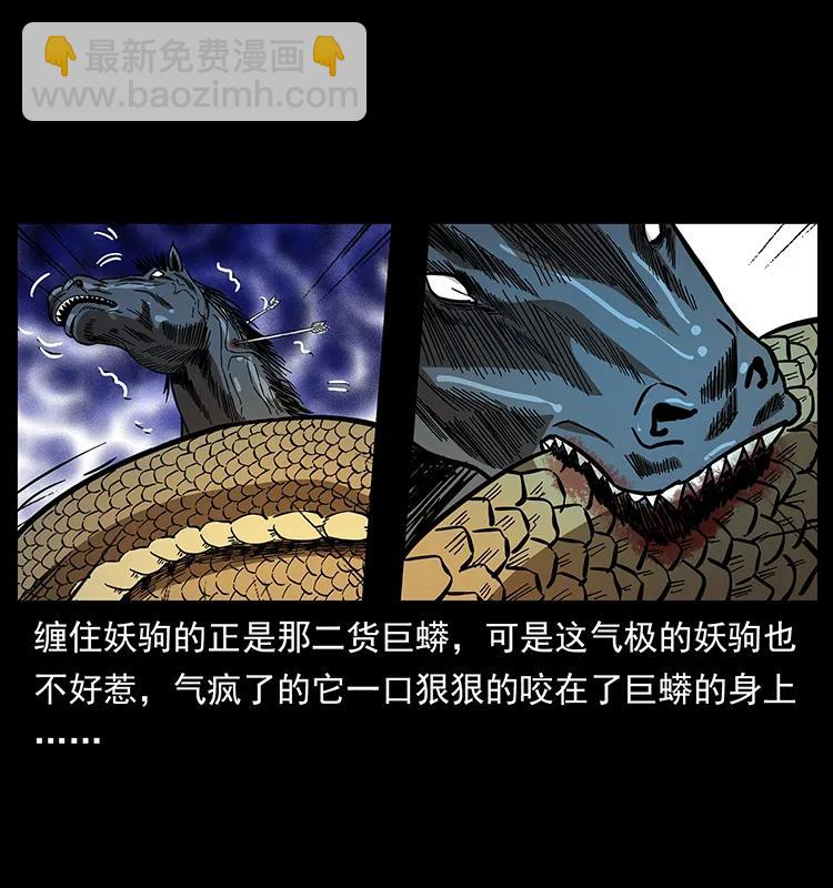 158 妖驹的选择51