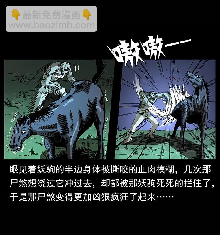 158 妖驹的选择81
