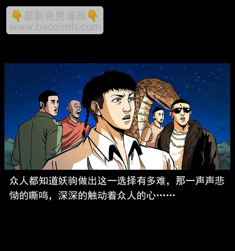 158 妖驹的选择93
