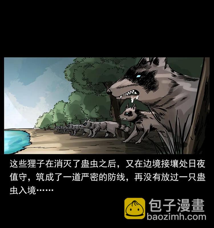161 虫佛17