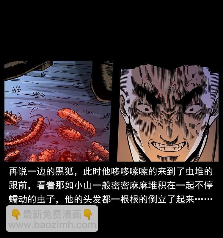 161 虫佛66