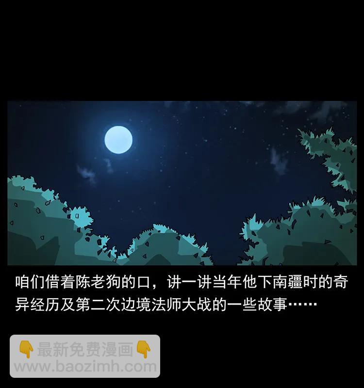 163 陈老狗下南疆1