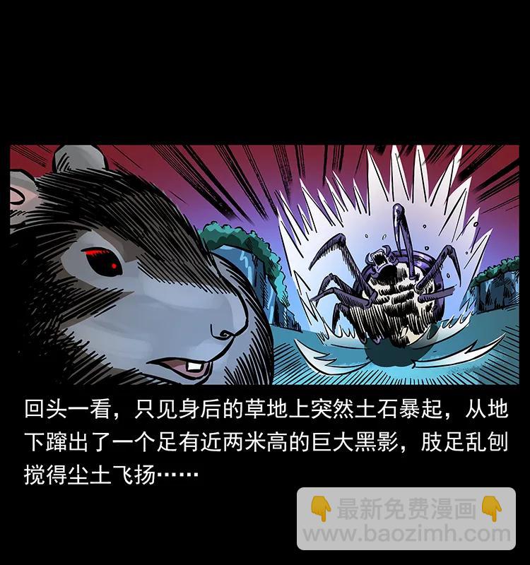 163 陈老狗下南疆10