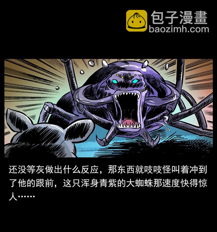 163 陈老狗下南疆11