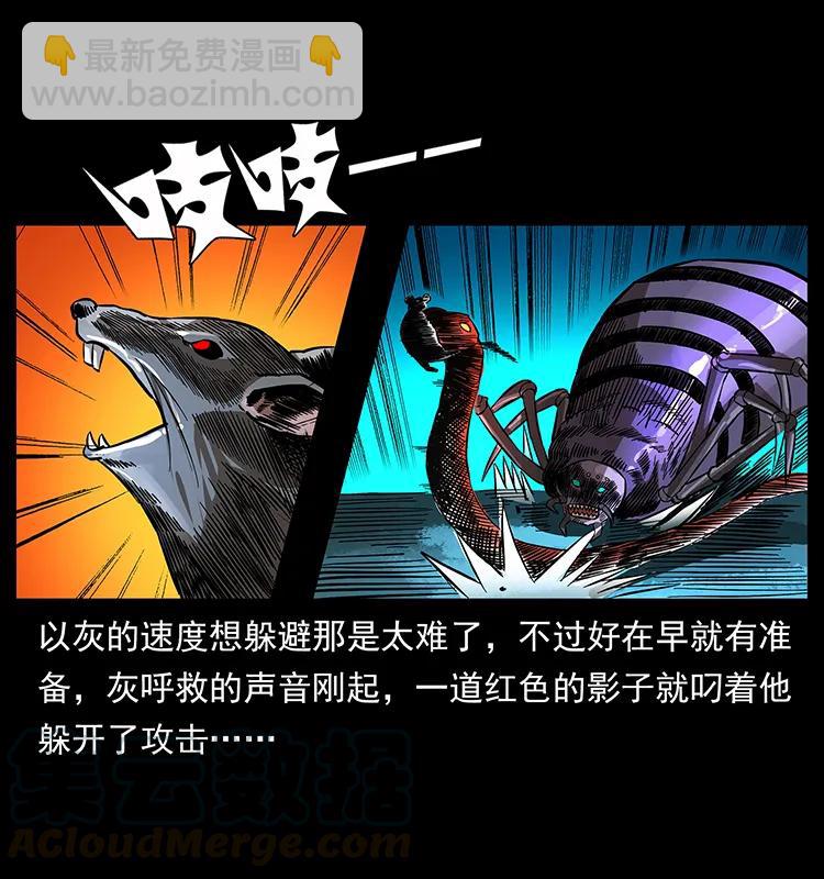 163 陈老狗下南疆12