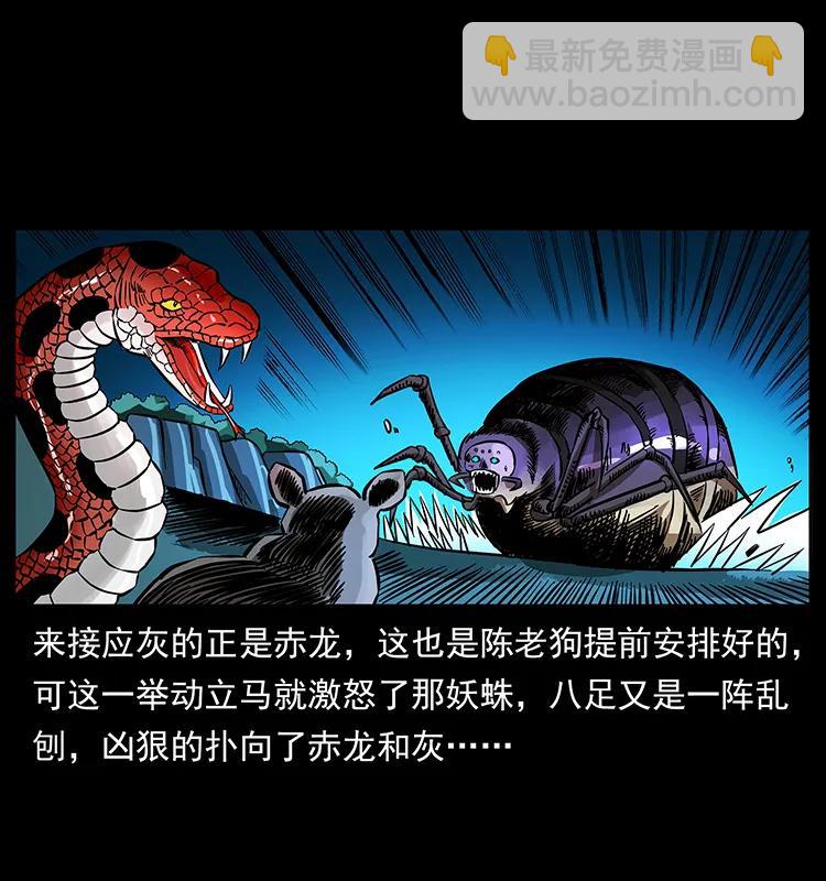 163 陈老狗下南疆13