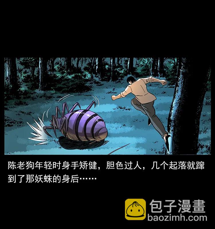 163 陈老狗下南疆15