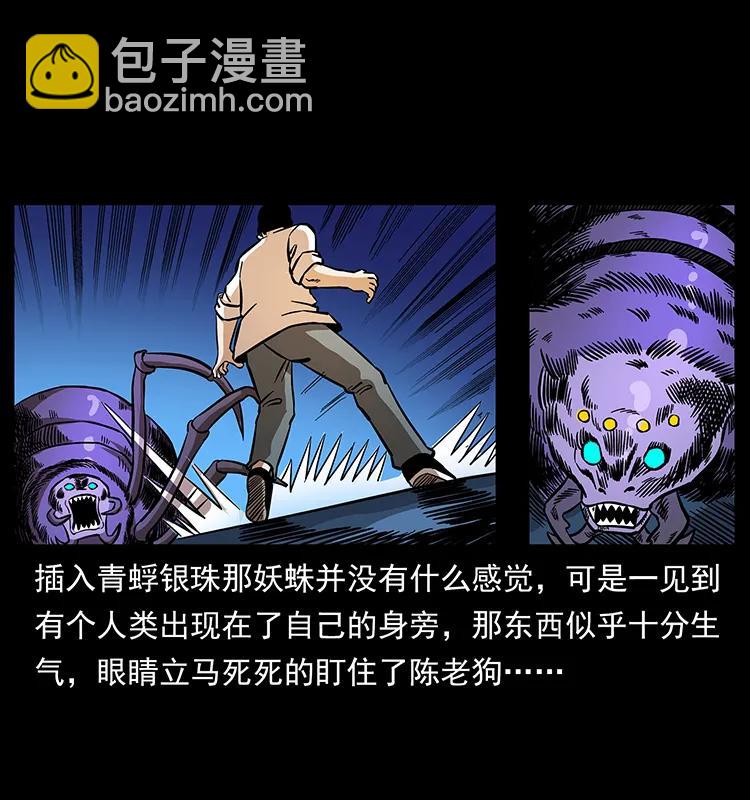 163 陈老狗下南疆17