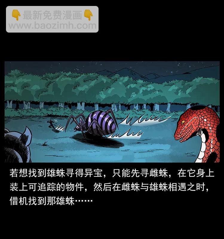 163 陈老狗下南疆19