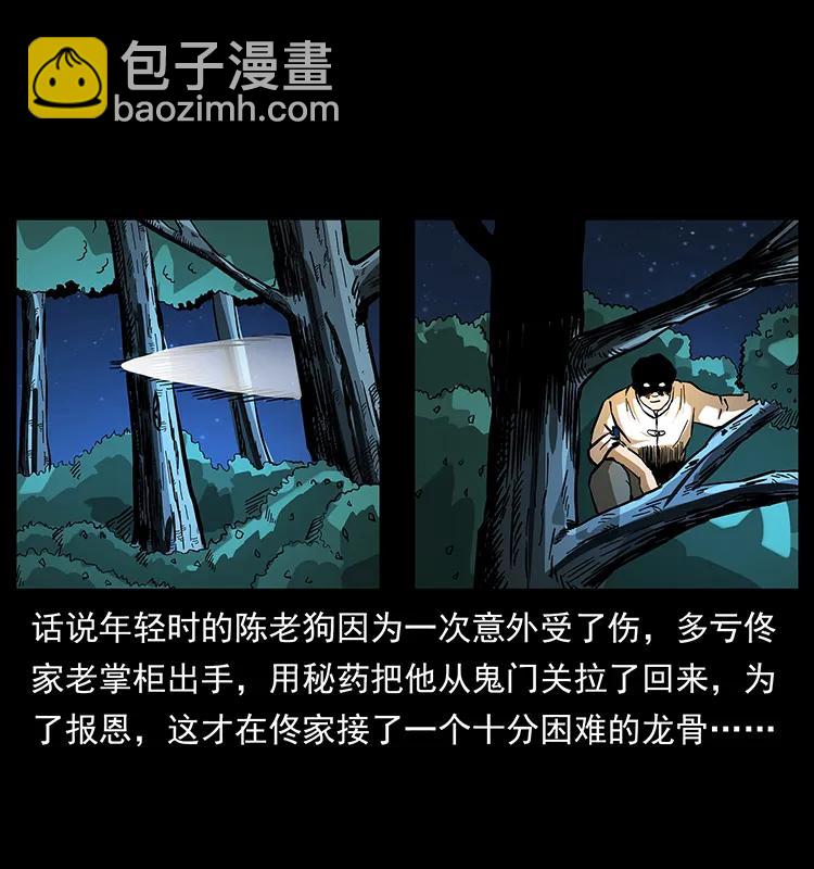 163 陈老狗下南疆2