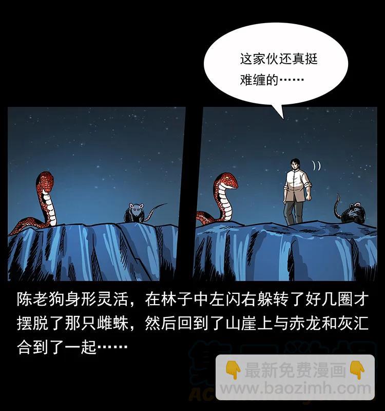 163 陈老狗下南疆20