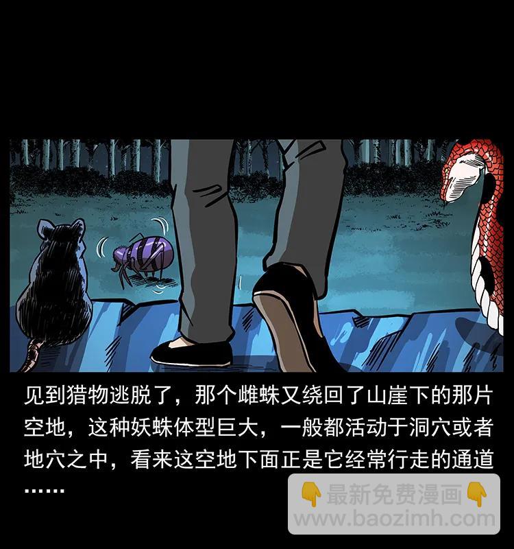 163 陈老狗下南疆21