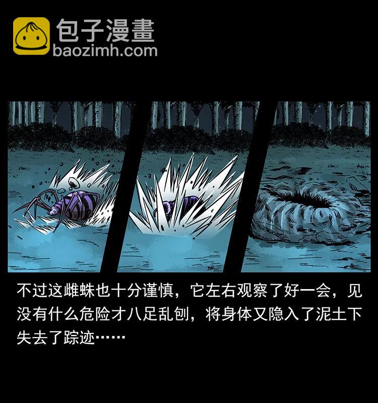 163 陈老狗下南疆22