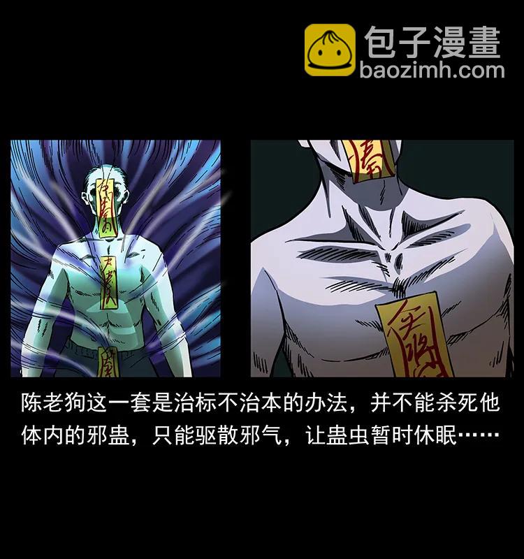163 陈老狗下南疆35