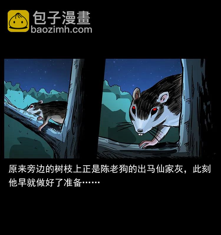 163 陈老狗下南疆5