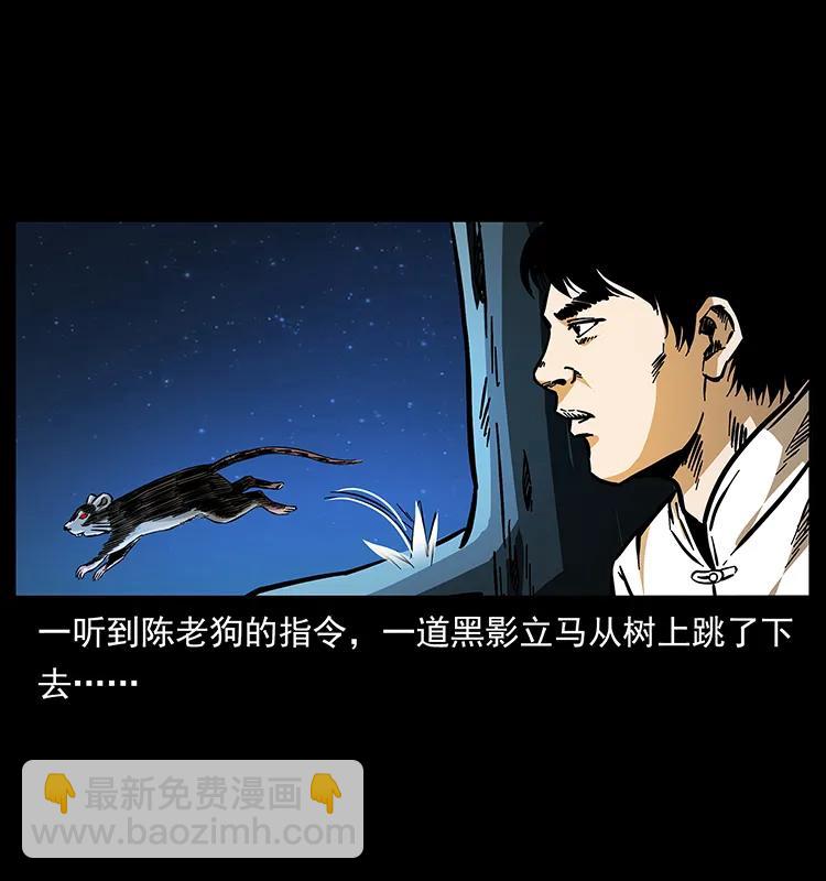 163 陈老狗下南疆6