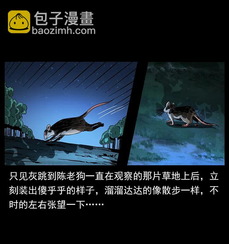 163 陈老狗下南疆7
