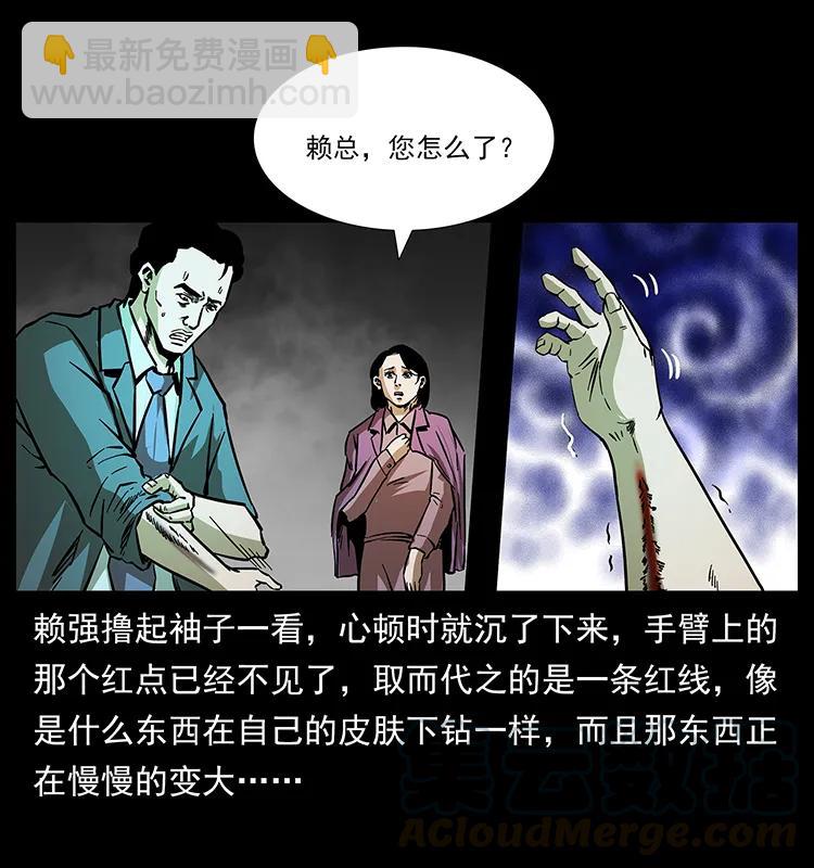 163 陈老狗下南疆76