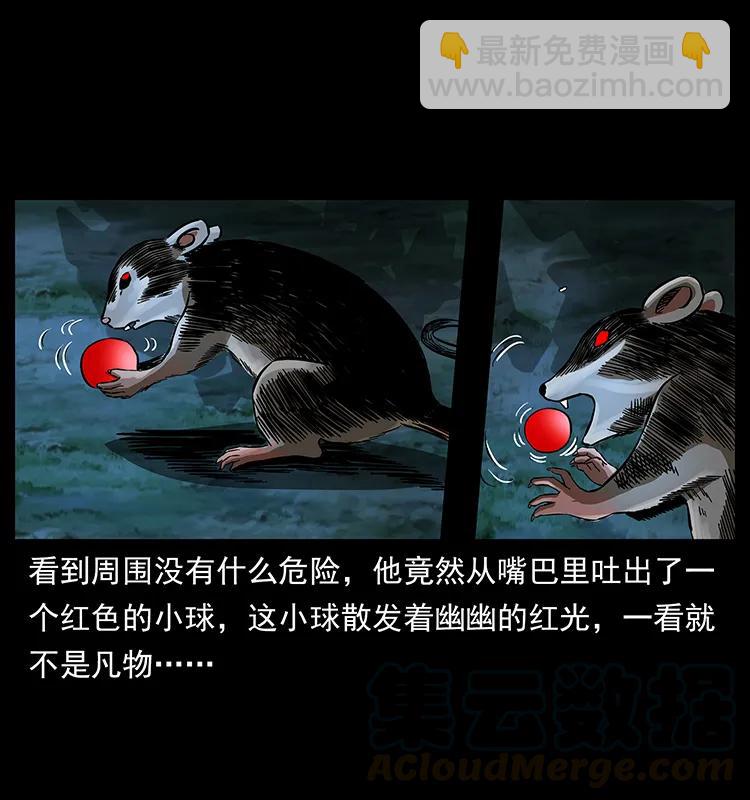 163 陈老狗下南疆8