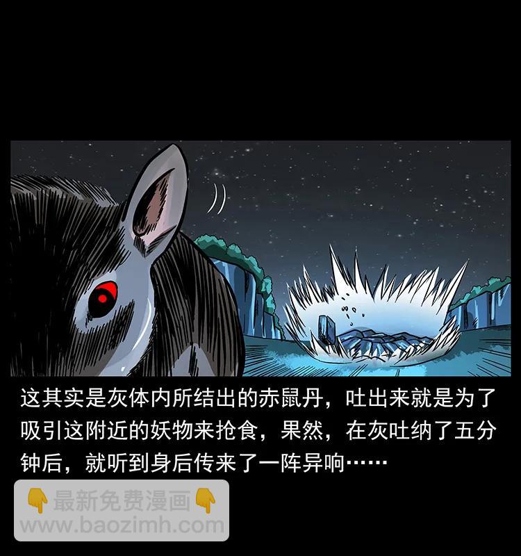 163 陈老狗下南疆9