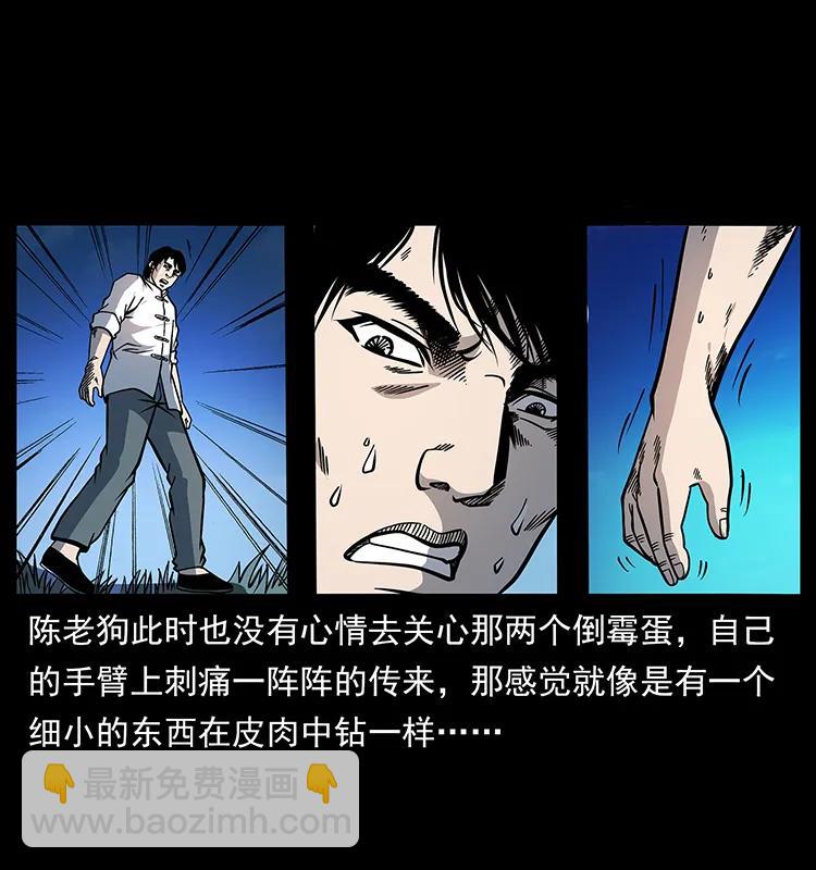 167 陈老狗遇险33