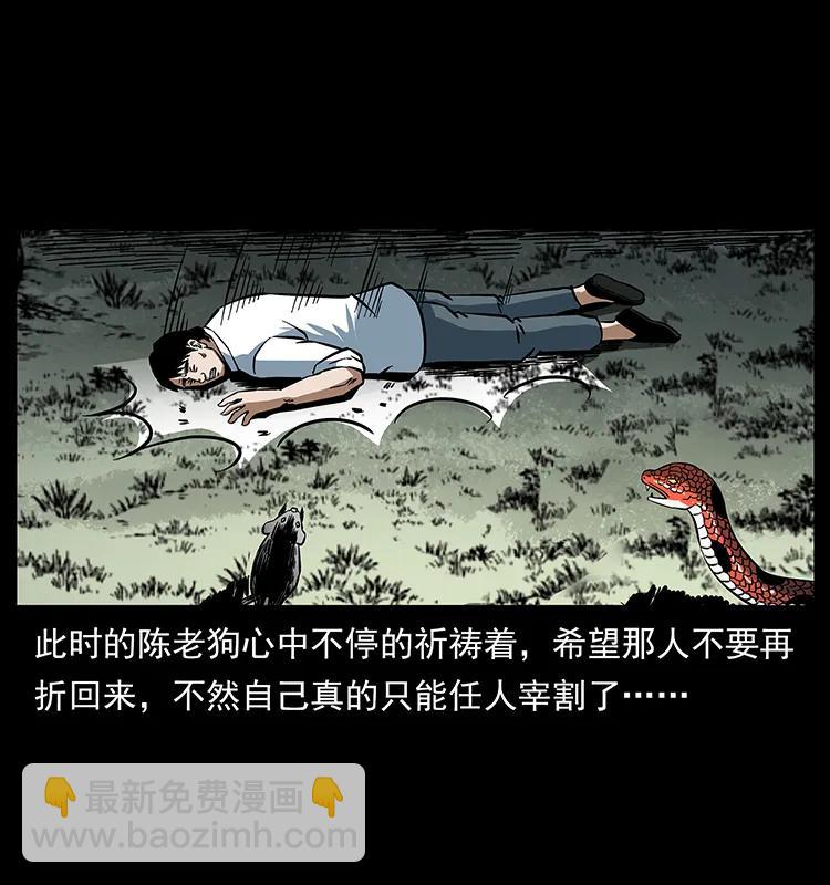 167 陈老狗遇险42
