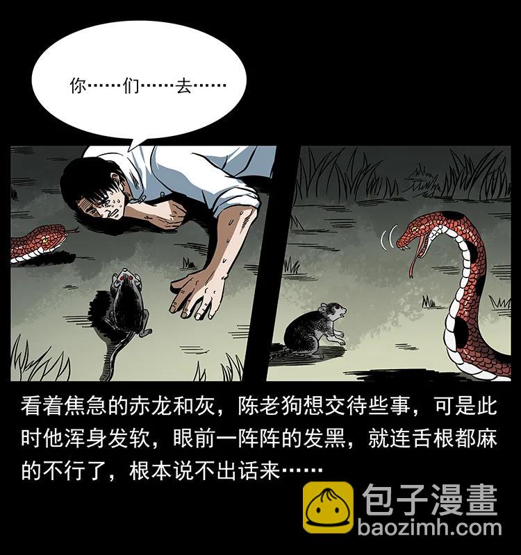 167 陈老狗遇险43