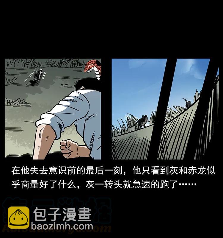 167 陈老狗遇险44