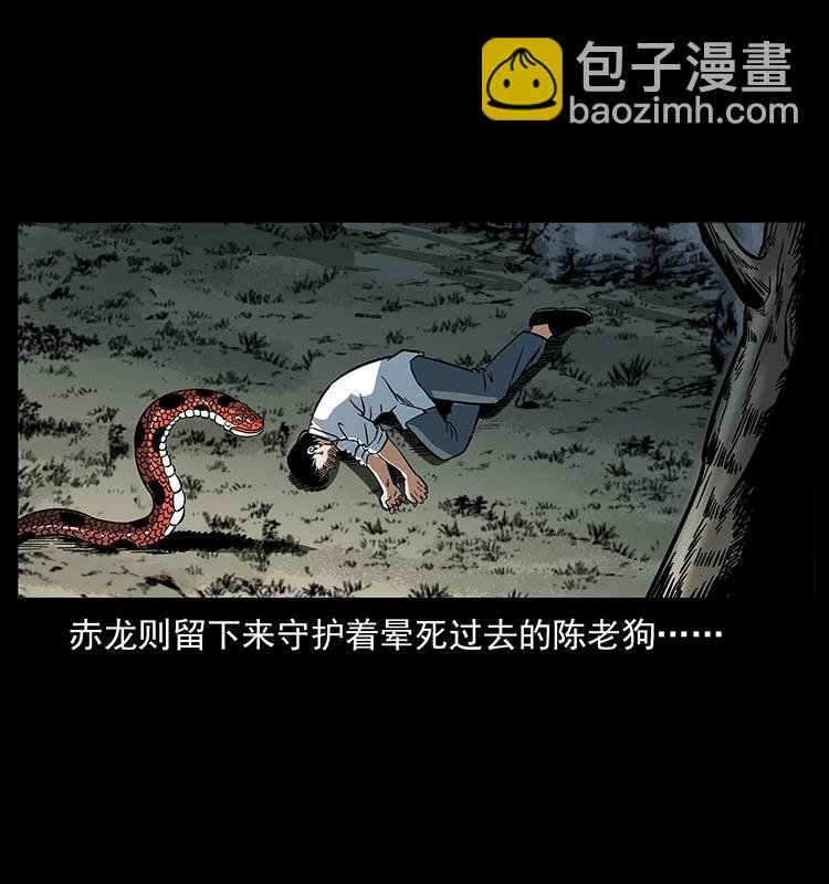 167 陈老狗遇险45