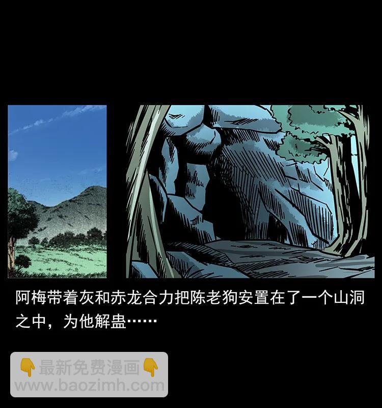 167 陈老狗遇险54