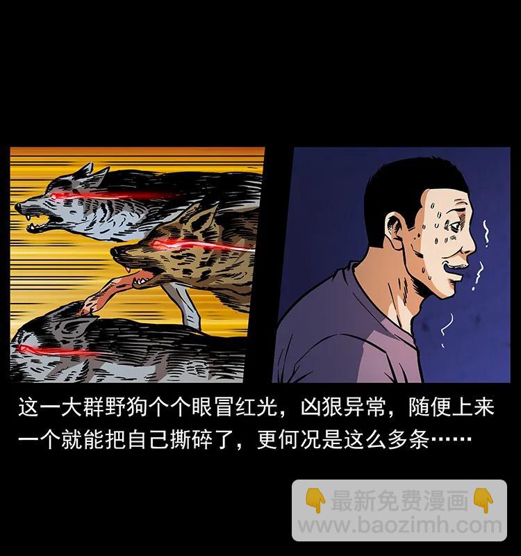 170 布局18