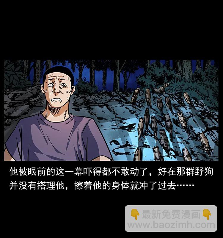 170 布局19