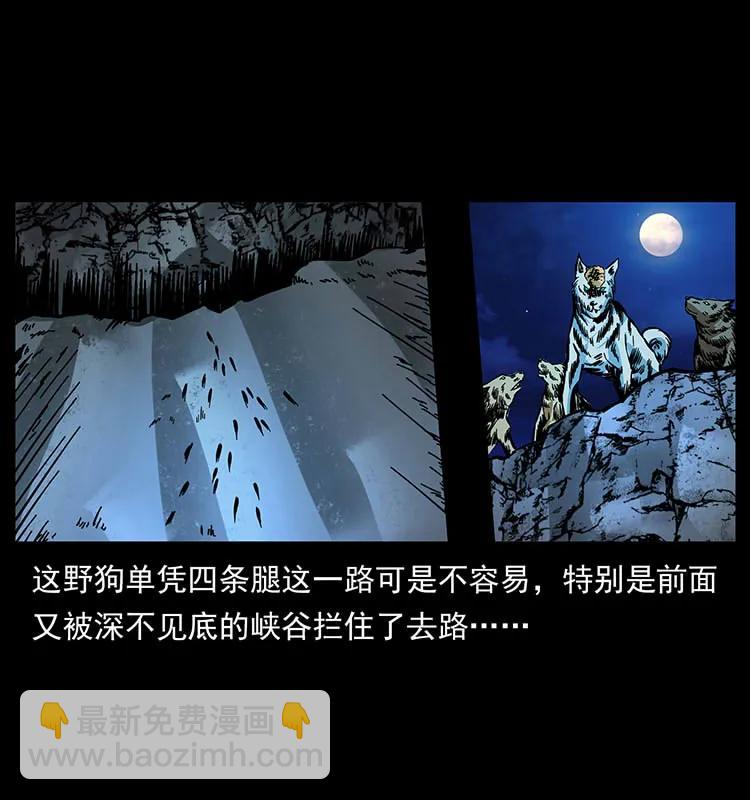 170 布局23