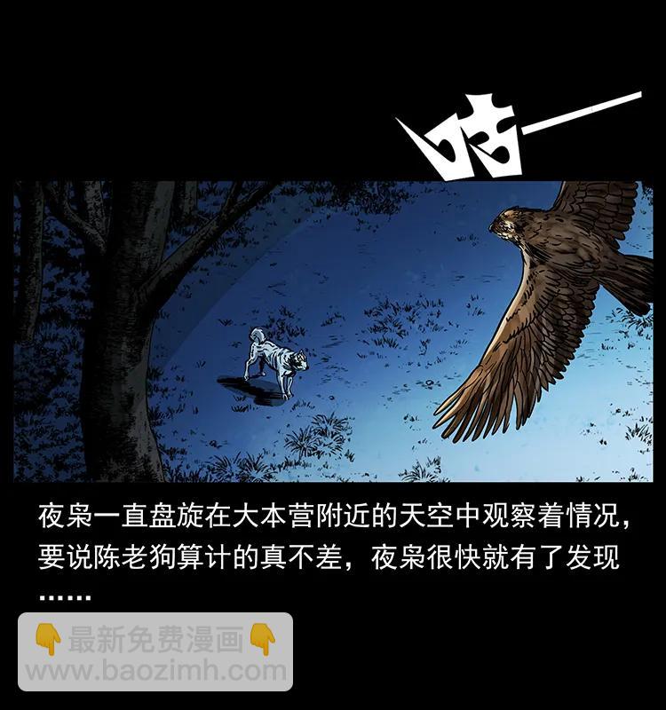 170 布局57