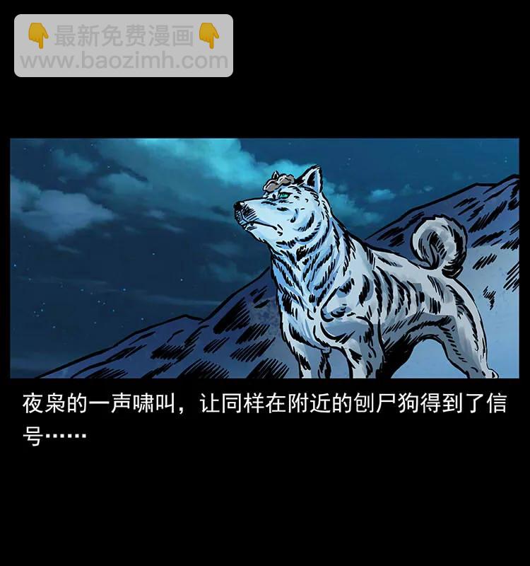 170 布局58