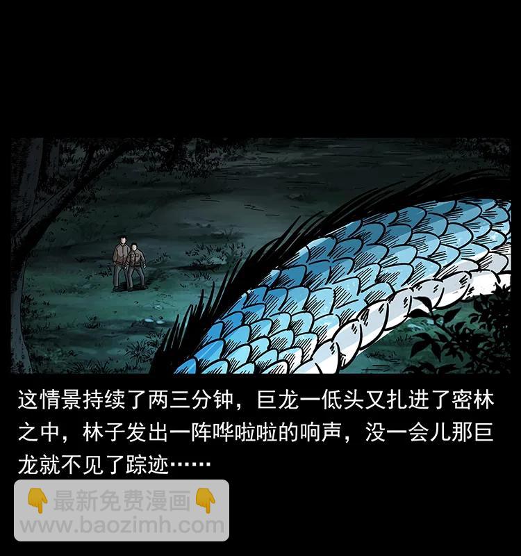 173 踏入龙家39