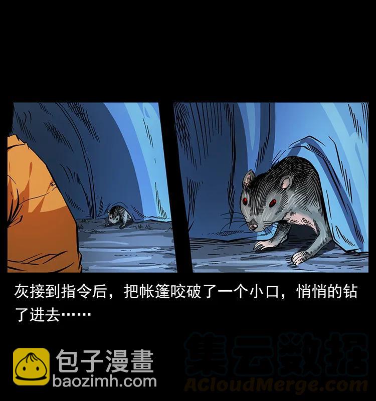 174 无间道36