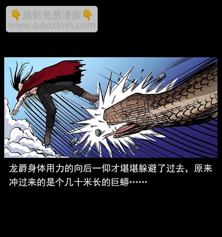 189 龙家的实力13