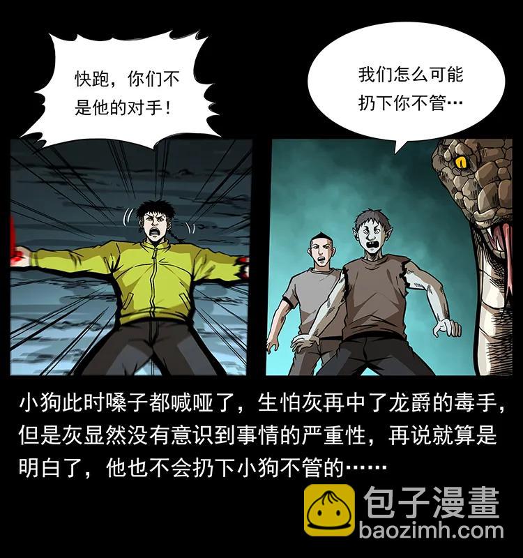 189 龙家的实力18