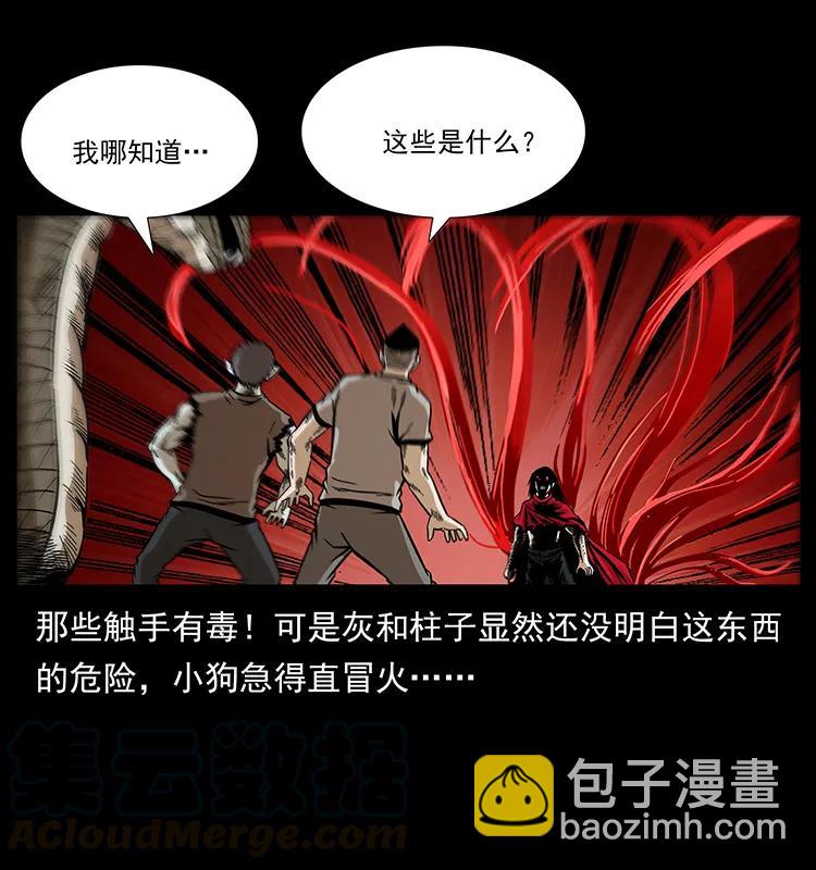 189 龙家的实力20