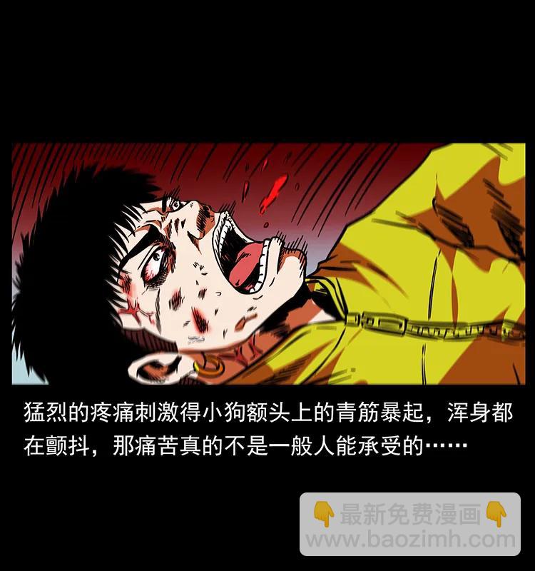 189 龙家的实力5