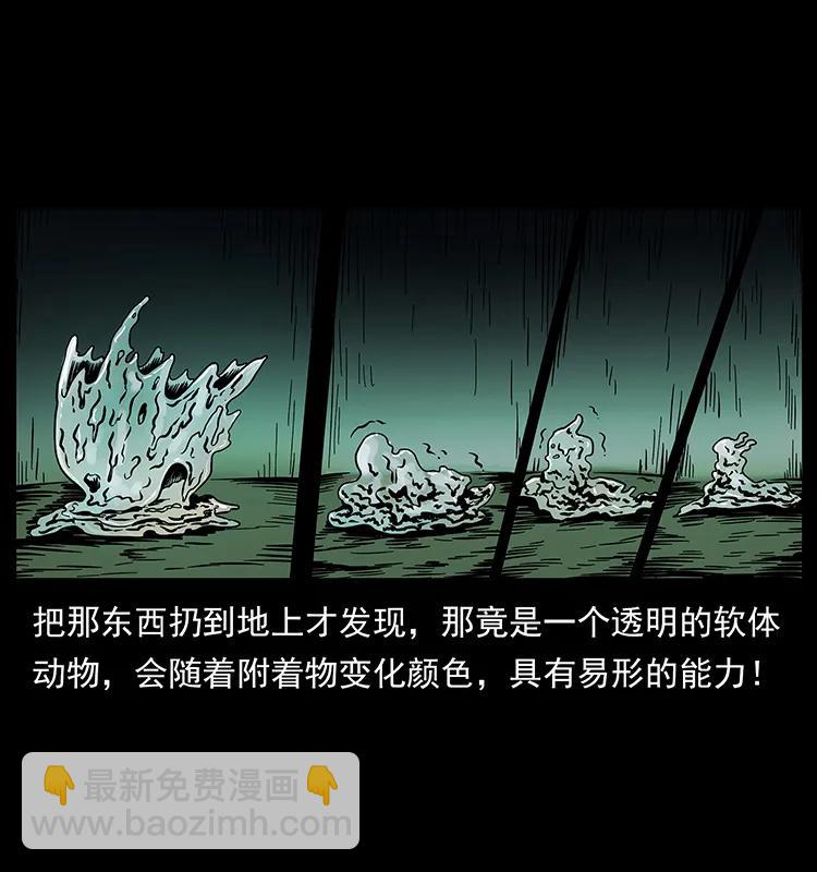 189 龙家的实力66